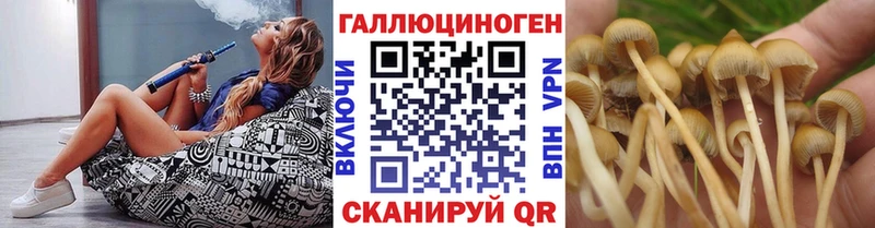 Галлюциногенные грибы Cubensis Озёры