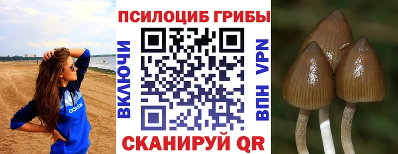 Галлюциногенные грибы прущие грибы  Озёры 